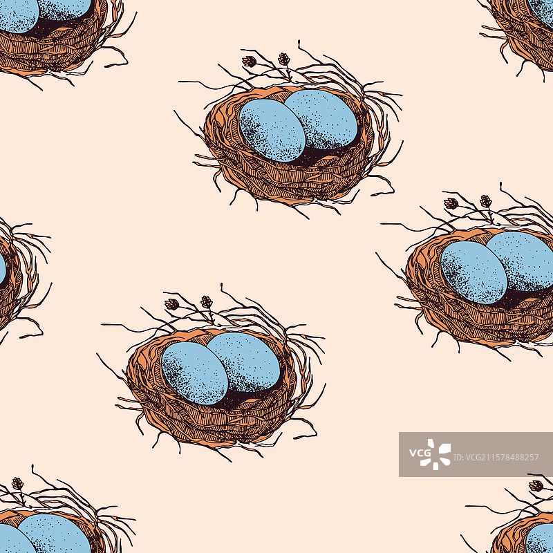 春季无缝图案，鸟巢里有蛋图片素材