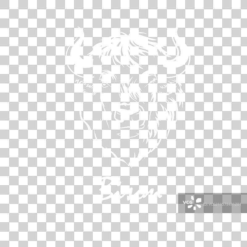 黑色背景上的野牛头手绘图图片素材