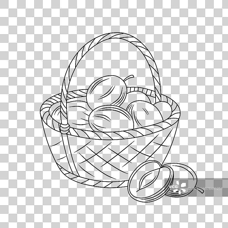 线条艺术风格的梅子水果在篮子里图片素材