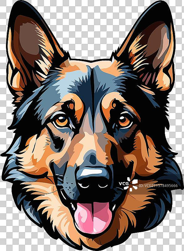 愤怒的德国牧羊犬头部特写图片素材