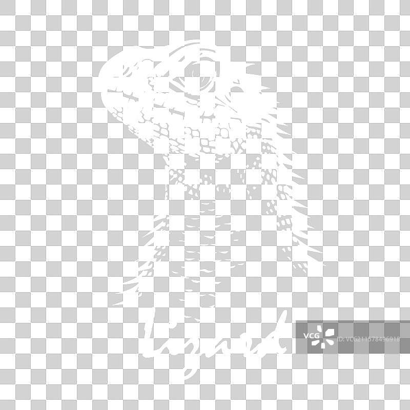 黑色背景上的蜥蜴头手绘图图片素材