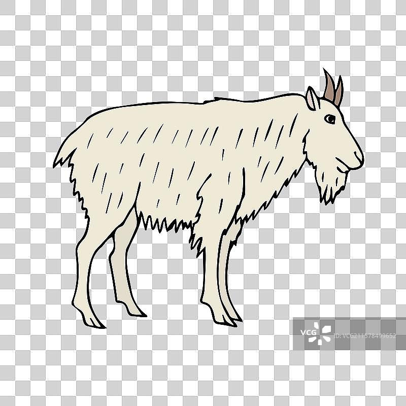 手绘涂鸦彩色野山羊图片素材