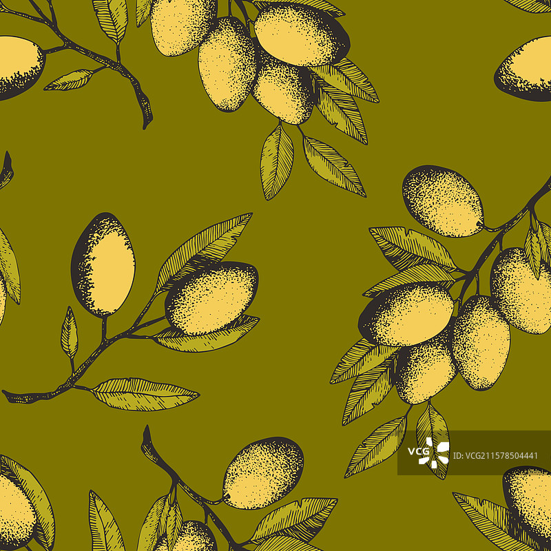手绘橄榄枝无缝图案图片素材