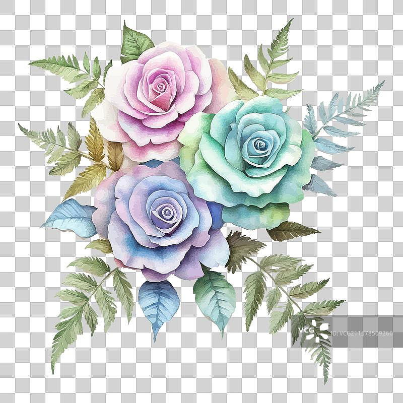 多彩玫瑰的水彩画，配以绿色和图片素材