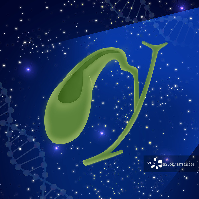 胆囊健康日医疗保健预防胆囊炎胆囊结石医学高峰论坛暗蓝色图片素材