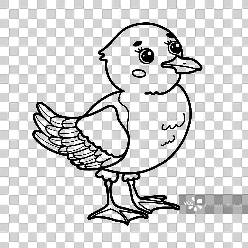 可爱的卡通海鸥图片素材