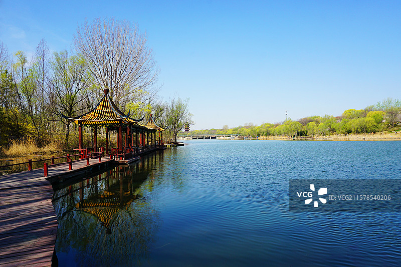 潍坊白浪绿洲湿地公园 -图片素材