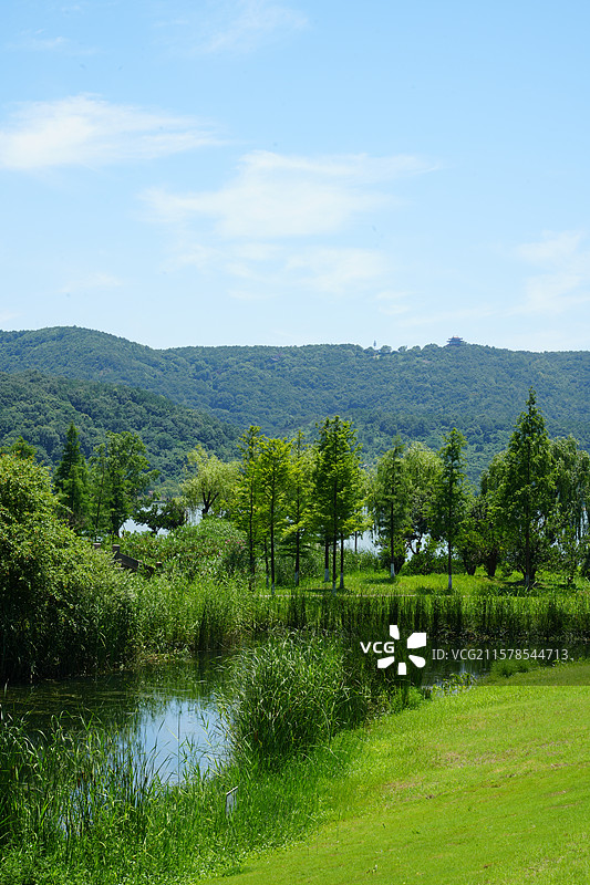 浙江海盐双湖4A级旅游景区 夏季 草地 草坪 露营地 风景图片素材