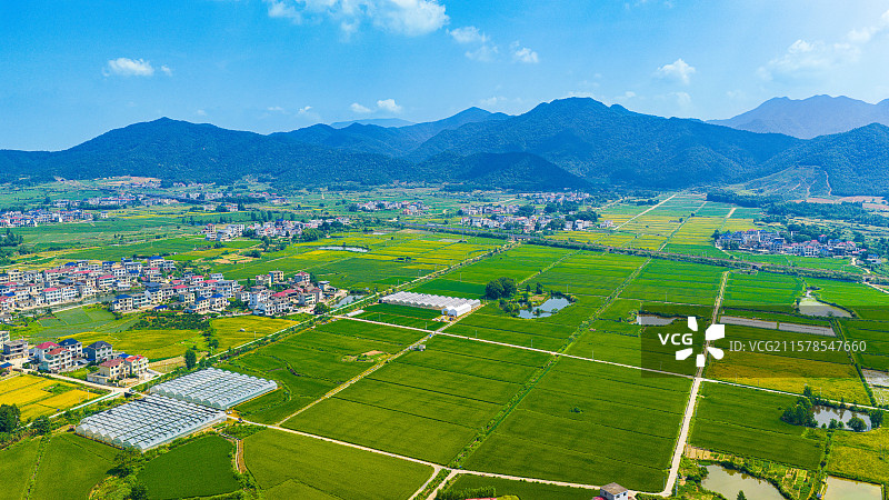 江西都昌：夏季乡村美如画图片素材