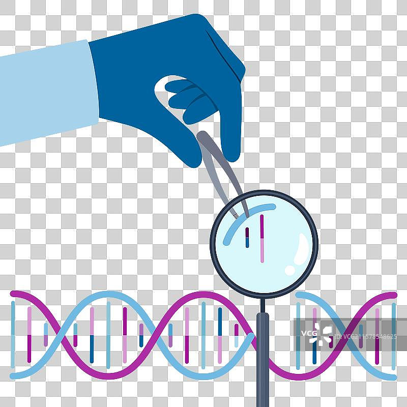 DNA基因编辑与研究图片素材