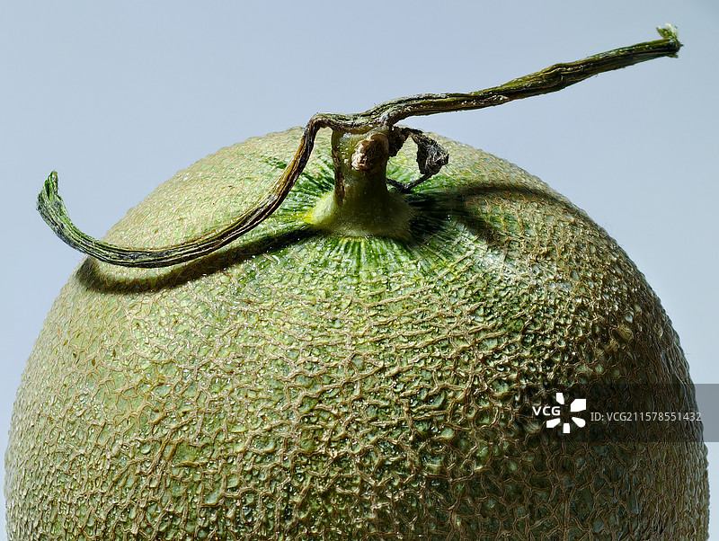 哈密瓜图片素材