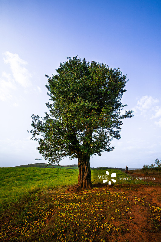 云南省昆明市东川区红土地图片素材