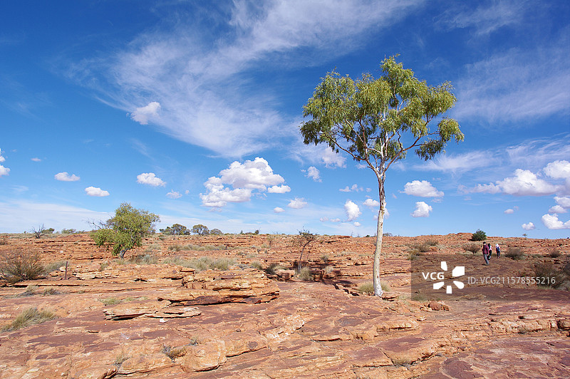 澳大利亚北领地帝王谷的风景图片素材