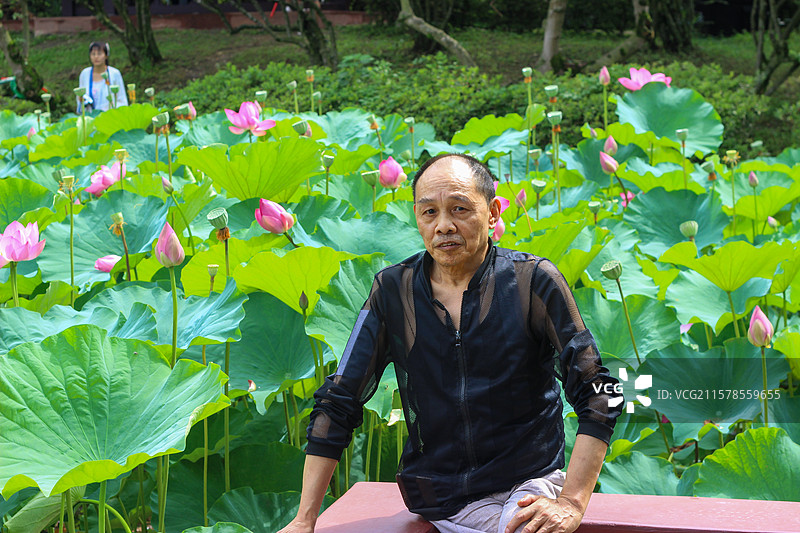 老人坐在成都郫都区望丛祠荷花池塘边休息图片素材