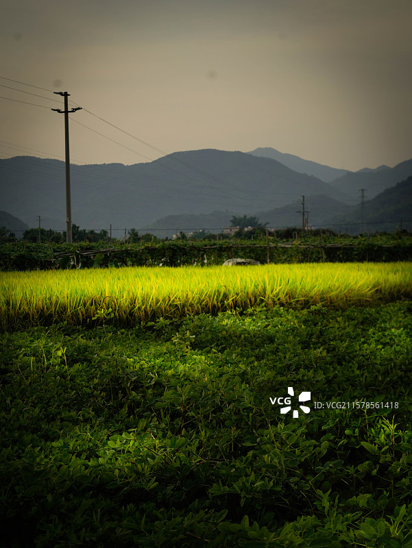 广东肇庆市德庆县乡间风景照图片素材