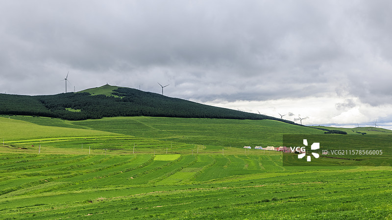 河北张家口：小暑时节桦皮岭草原天路雨后绿野仙踪天然图画图片素材