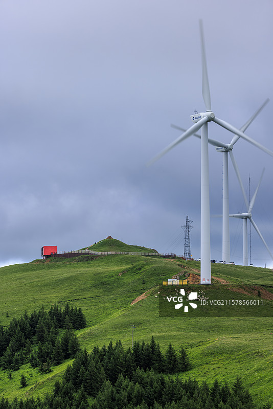 河北张家口：小暑时节桦皮岭草原天路雨后绿野仙踪天然图画图片素材