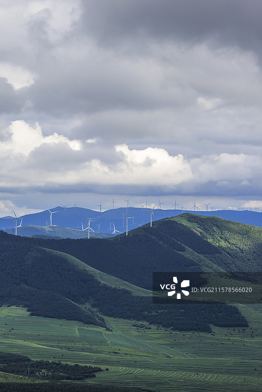 河北张家口：小暑时节桦皮岭草原天路雨后绿野仙踪天然图画图片素材