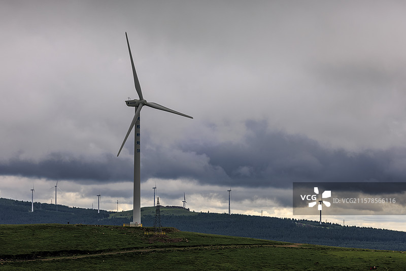 河北张家口：小暑时节桦皮岭草原天路雨后绿野仙踪天然图画图片素材