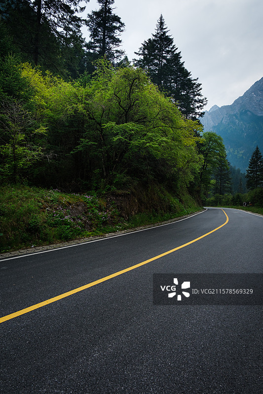 九寨沟景区里的公路图片素材