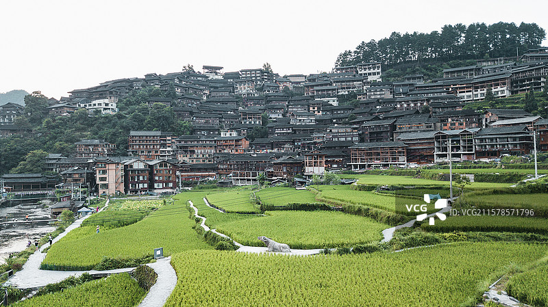 航拍古村落秋色乡村农田生活图片素材