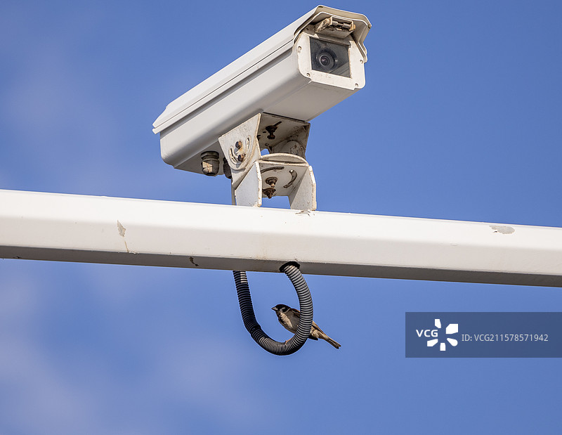 厦门黄厝海滩清晨景色图片素材