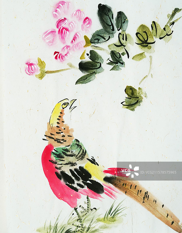 芙蓉花 手绘 中国画 水墨 插画 锦鸡 美丽 鸟类图片素材