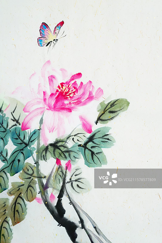 手绘 中国画 水墨 插画 牡丹花 福慧 富贵图片素材