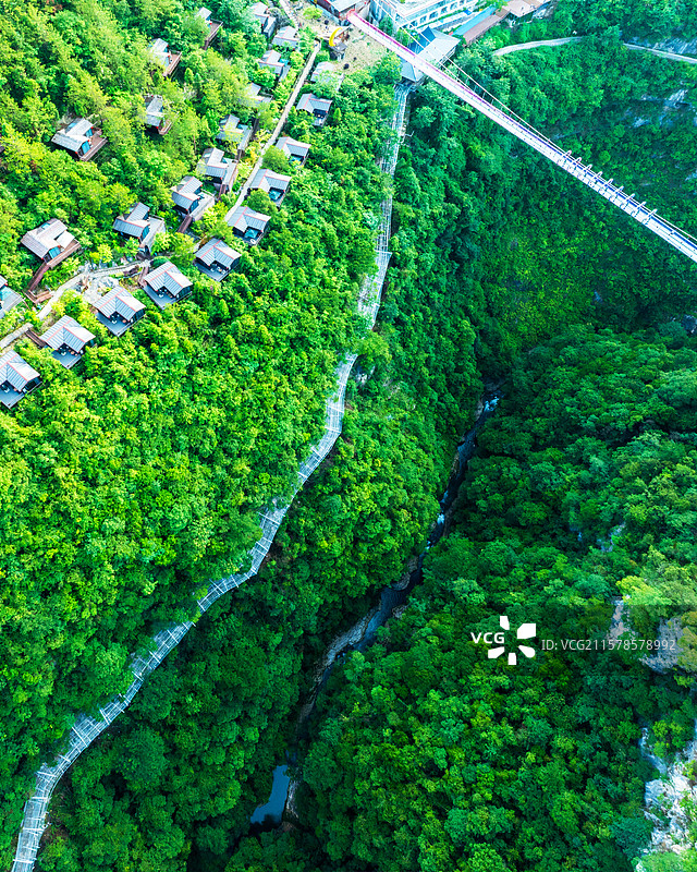 国家4A景区湖北恩施地心谷玻璃桥网红打卡点图片素材