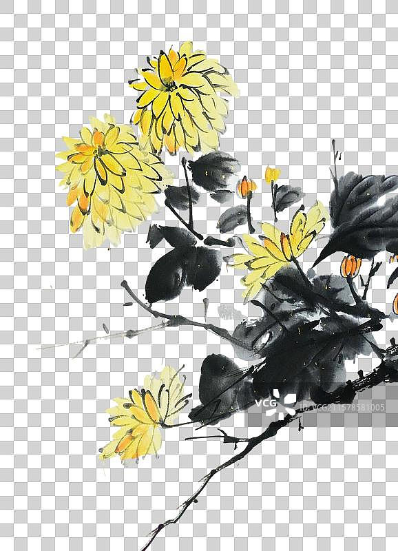 手绘 中国画 水墨 插画 点缀 元素 秋天 重阳节 菊花图片素材