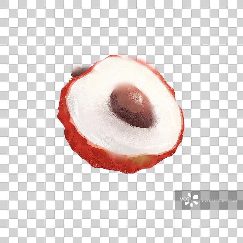 水果半颗荔枝核插画元素图片素材