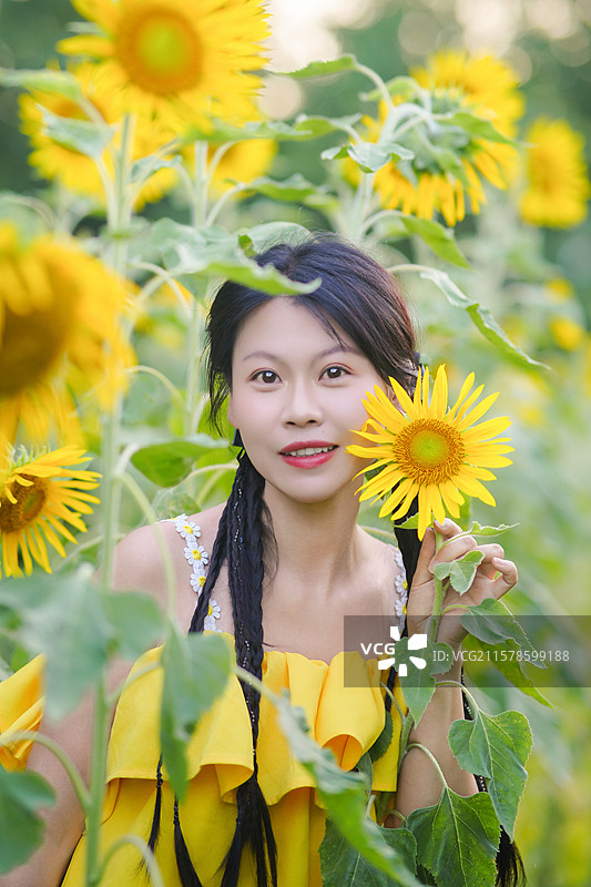 向日葵人像图片素材