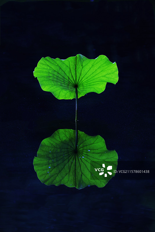 自在悠然菩萨心图片素材