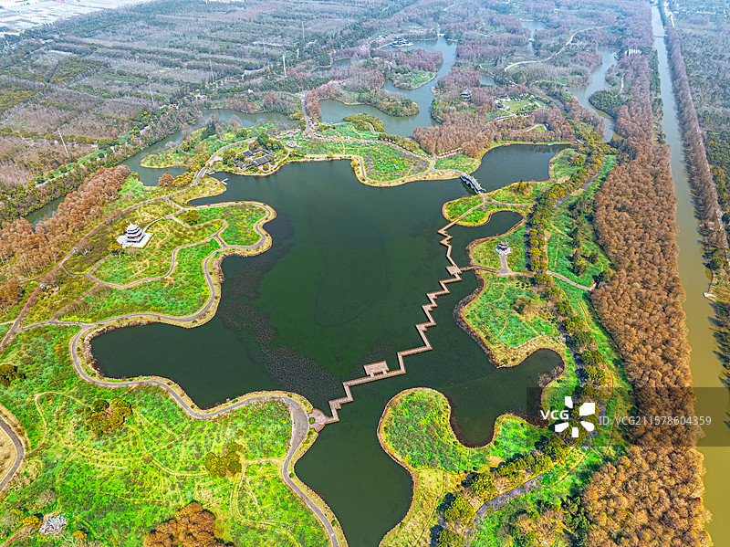 航拍上海海湾森林公园 楚梅阁 五福栈水上栈道 探香湖 3月初春时节樱花盛开 奉贤区东海海滨图片素材