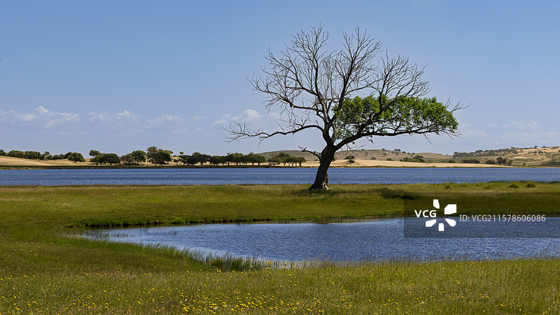 残败孕育新生图片素材