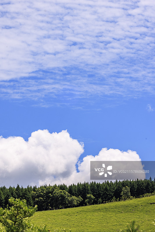河北张家口小暑时节崇礼喜鹊梁蓝天白云漫画版的高山草甸风光无限图片素材