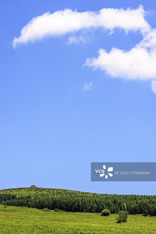 河北张家口小暑时节崇礼喜鹊梁蓝天白云漫画版的高山草甸风光无限图片素材