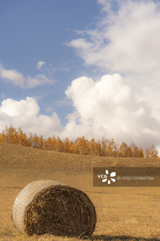 秋季呼伦贝尔的风光图片素材