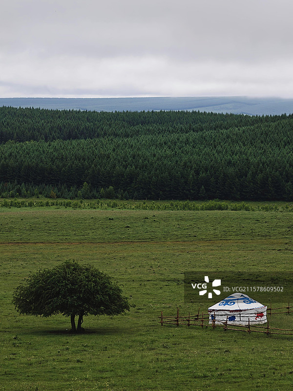 内蒙古自治区赤峰市克什克腾旗乌兰布统苏木红山大茶，草原景色秀丽图片素材