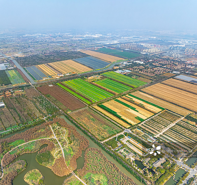 上海五四农场 知青 插队落户 奉贤区海湾镇图片素材