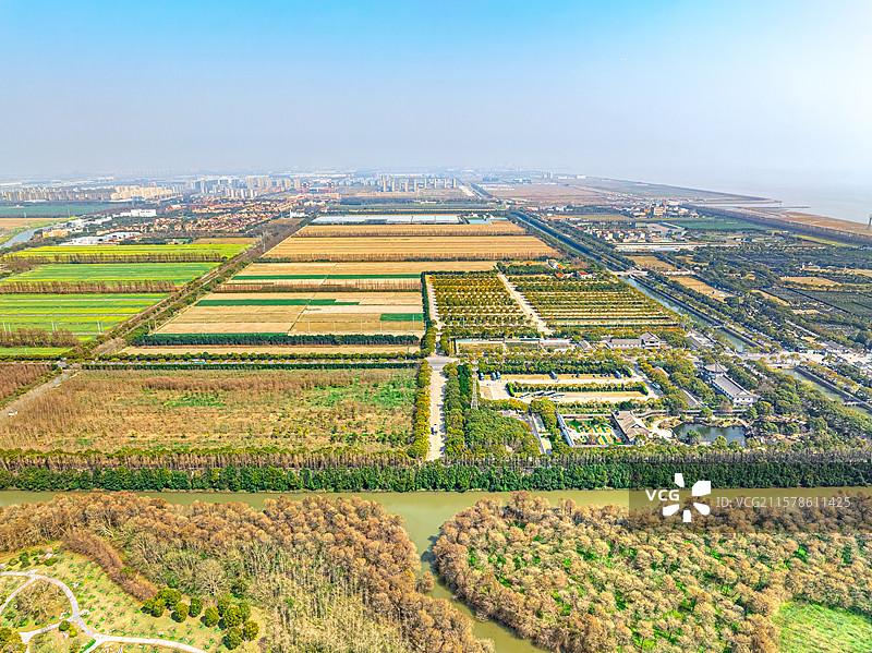 上海五四农场 知青 插队落户 奉贤区海湾镇图片素材