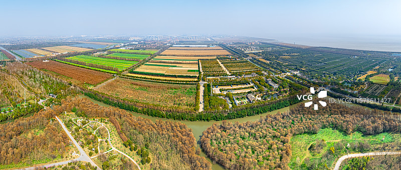 上海五四农场 知青 插队落户 奉贤区海湾镇图片素材