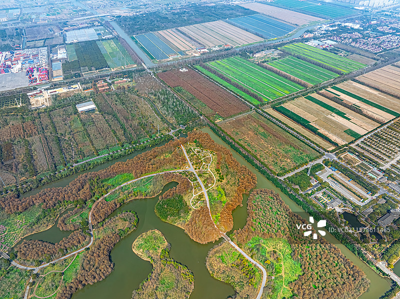 上海五四农场 知青 插队落户 奉贤区海湾镇图片素材