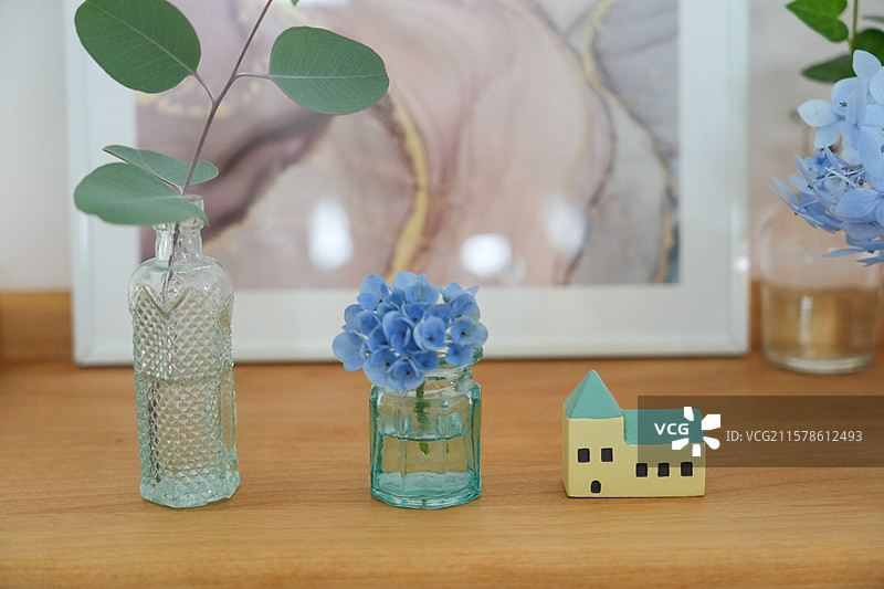 桌上摆设的绣球花和叶子图片素材