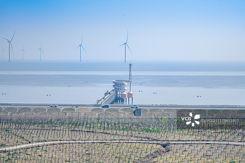 芦潮港滩涂海洋观测站 上海临港自贸区海岸线 洋山特殊综合保税区图片素材