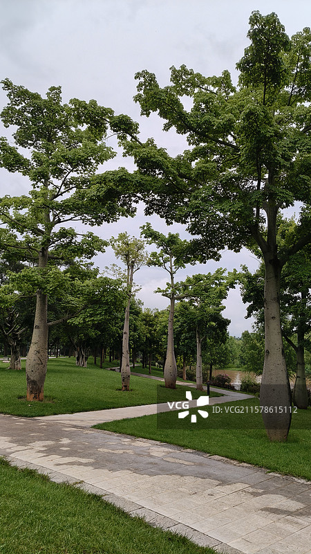 云南弥勒的东湖公园图片素材