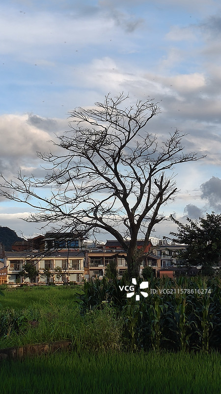 云南省文山州普者黑旅游景区图片素材