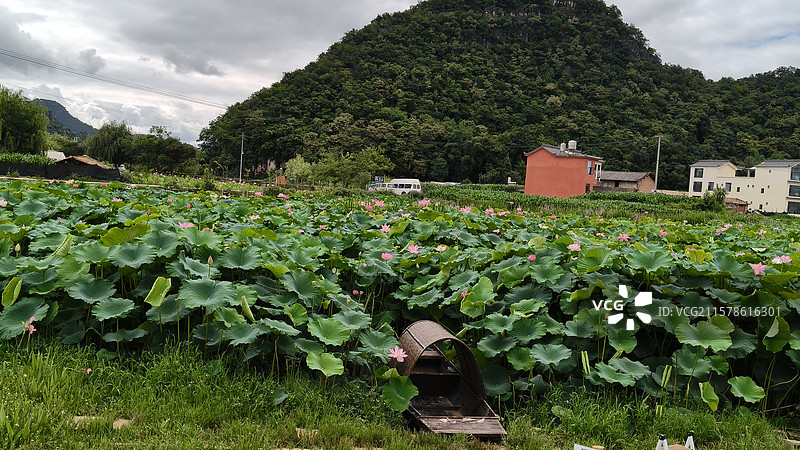 云南省文山州普者黑旅游景区图片素材