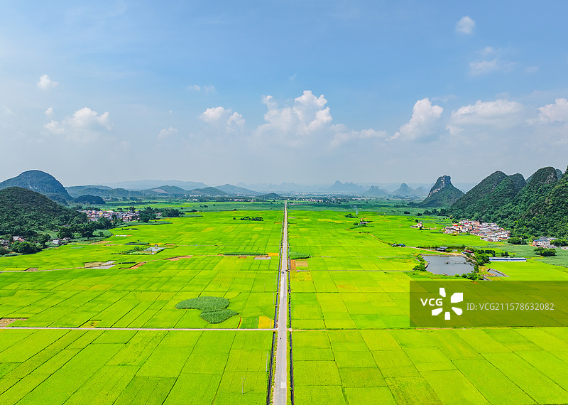 广西柳州柳城县古砦田村广阔的水稻田、喀斯特地貌、笔直的前进道路与晴朗的蓝天白云航拍视角风光图片素材