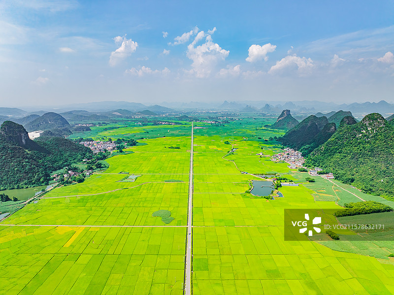 广西柳州柳城县古砦田村广阔的水稻田、喀斯特地貌、笔直的前进道路与晴朗的蓝天白云航拍视角风光图片素材